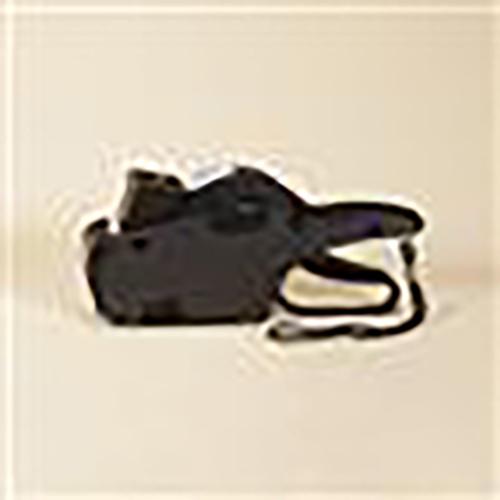 Expired Date Gun  2 Line