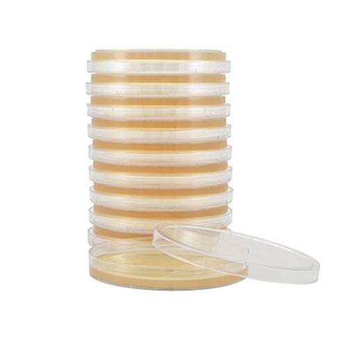 Tryptic Soy Agar  TSA   USP  15x100mm plate