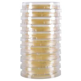 Lok-Tight™ TSA w/Lecithin & Tween® 80, Irradiated Triple Bag