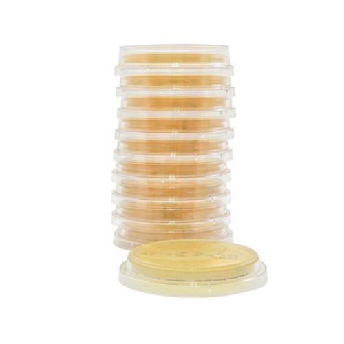 Tryptic Soy Agar  w Lecithin and Tween  80  Lok-Tight Lid