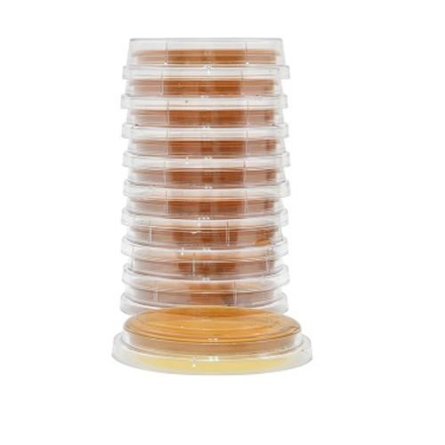 Malt Extract Agar w Lecithin   Tween  Contact Plates 15x65mm