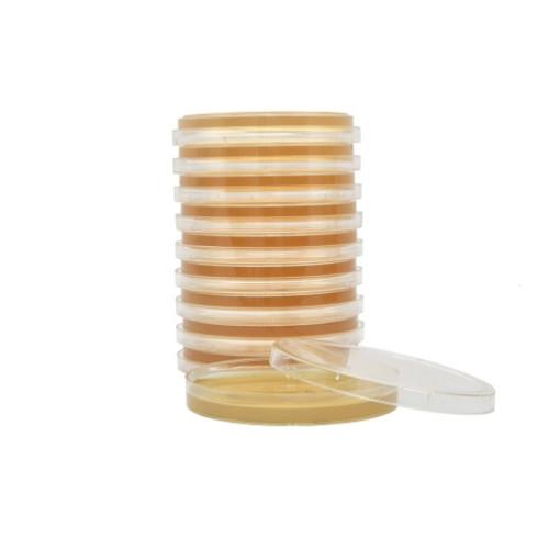 Tryptic Soy Agar  TSA 