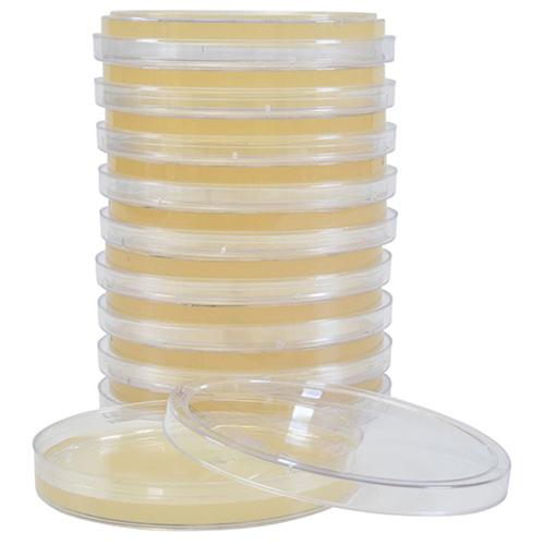TSA  USP  26ml HDx 15x100mm plt 10 EA