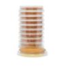 LokTight™ MEA w/Lecithin & Tween 80, 15x65mm