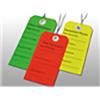 2.3125 x 4.75 Clean Equipment Tag (Green), 500/CS