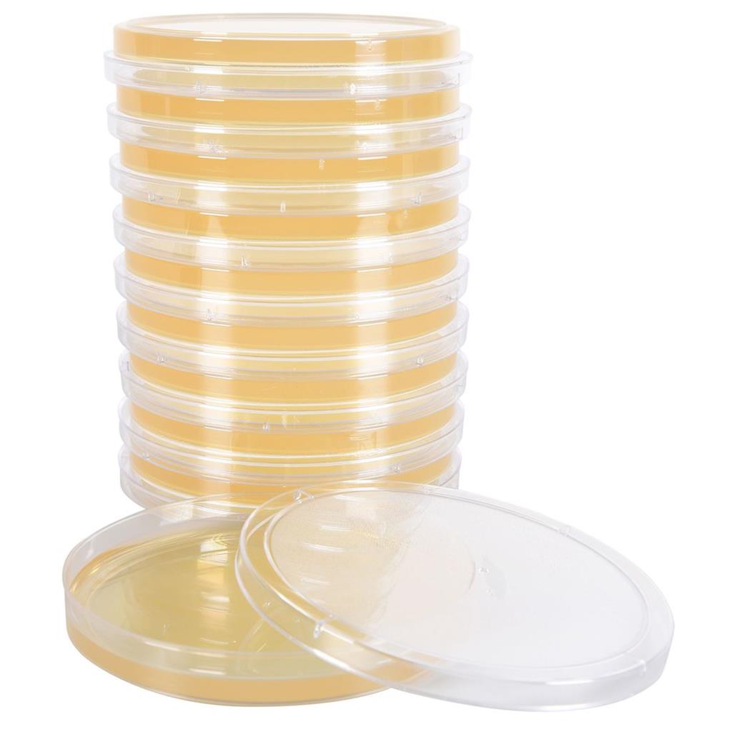 Malt Extract Agar, deep fill, 15x100mm plate, order by the package of 10
