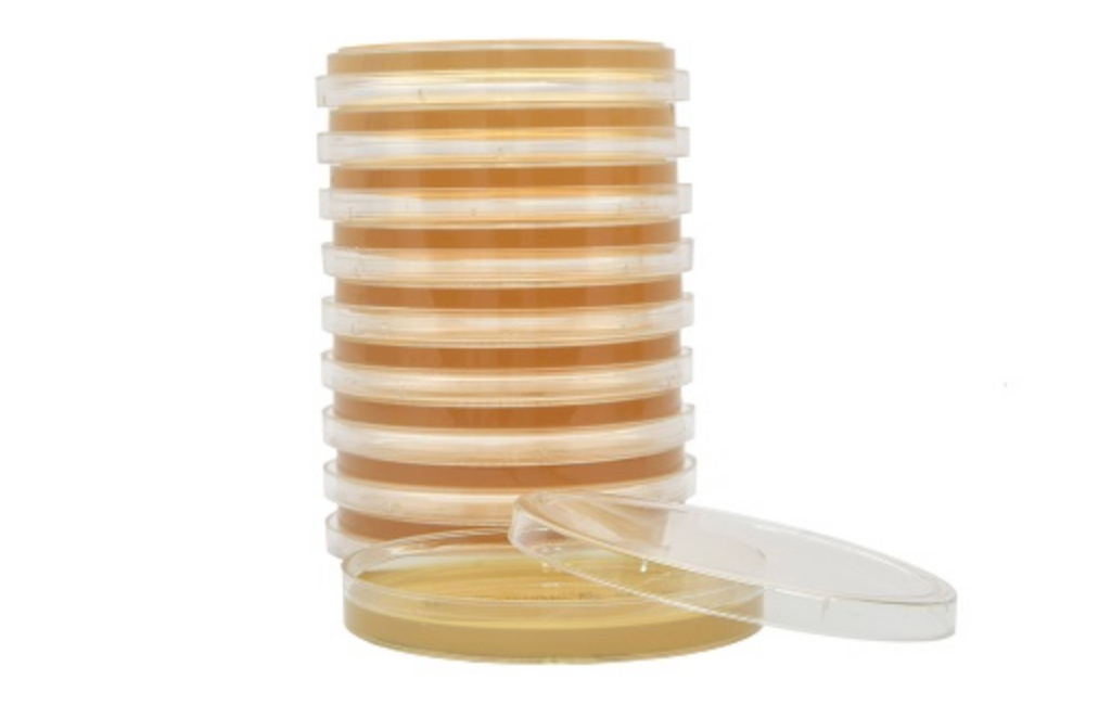 Tryptic Soy Agar (TSA) with Lecithin and Tween® 80, SterEM™, USP, irradiated, triple bagged, 15x100m