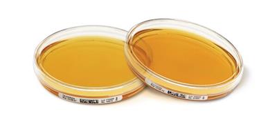 Tryptic Soy Agar with LT 030828e, 90 mm settle plates with 30 ml agar, gamma irradiated, triple bagg