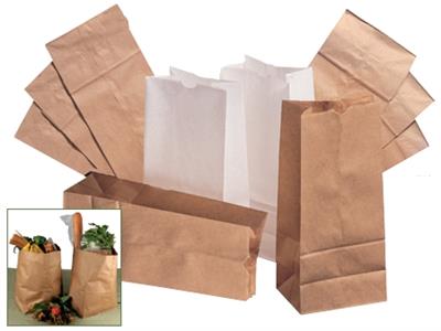 Grocery Paper Bag White Size 12 500/case