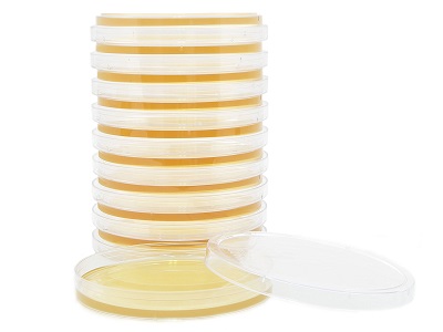 Tryptic Soy Agar (TSA) with Lecithin and Tween® 80, 15x100mm plate, 10 per pack