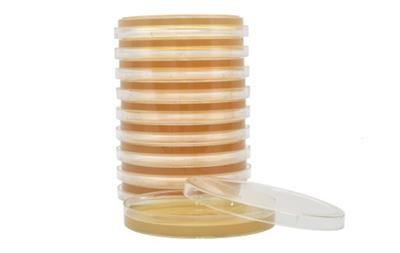 Tryptic Soy Agar (TSA) with Lecithin and Tween® 80, SterEM™, USP, irradiated, triple bagged, 15x100m